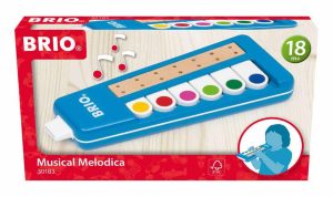 Musical melodica