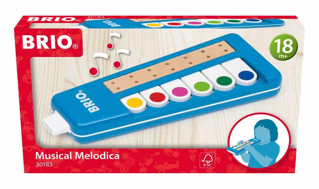 Musical melodica